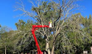 Brandywine Septic Services