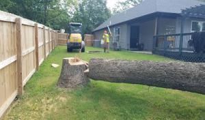 Superior Tree Service of NW Arkansas Springdale