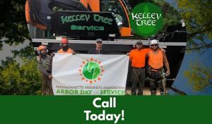 Kelley Tree Service