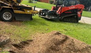 Solution Tree Service