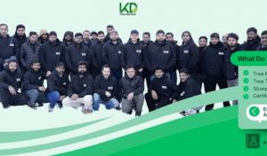 KD Tree Service Albany NY