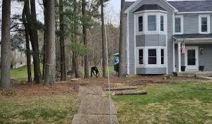 Logans Tree & Landscaping