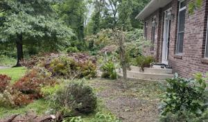 Integrity Tree Removal