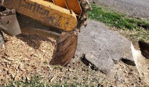 Socia Septic Systems