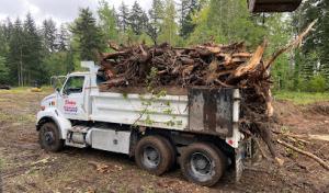 Bob's Property Solutions