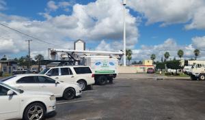 Stillman's Tree Service