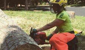J.Harris Tree Care Certified Arborist- Albuquerque