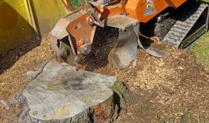 Barefoot Septic & Sewer