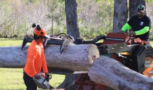 Precision Tree Services