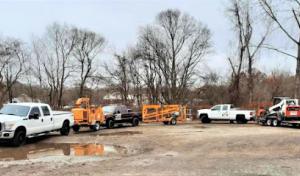 Diaz Tree Service & Landscaping CT