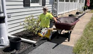 J. Fazzio Inland Tree & Landscaping Services