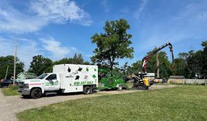 TerraShape Tree Company