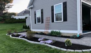 Paramount Professional Landscaping