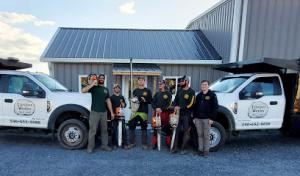 Timber Works Tree Care
