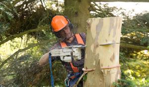 Brennan's Tree Service