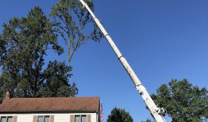 CPL Landscape & Tree