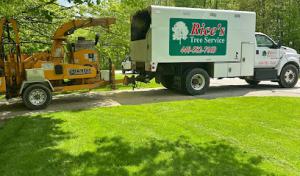 Rice's Tree Service & Landscaping