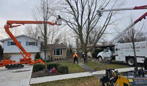 T&K Tree Service