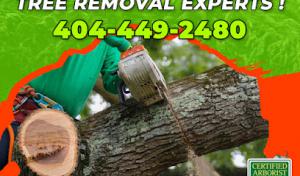 Apex Tree Service