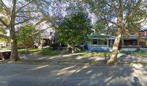 Bill Allen Tree Services