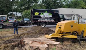 Big Timber Tree Service
