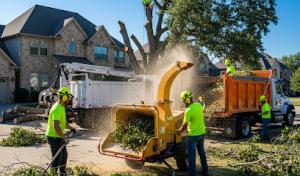 MD Pro Tree Services