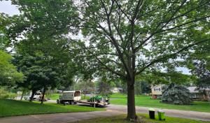 Arbor Cut Tree Service
