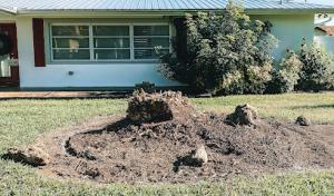 Forret Tree & Land Clearing