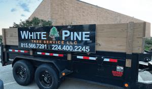 White Pine Tree Service