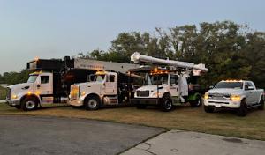 Affordable Tree & Crane Service