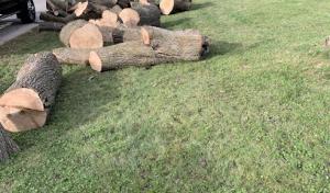 A & P Septic