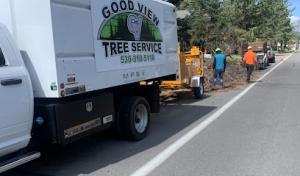 Good View Tree Service