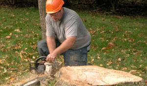 Bob McGrath's Tree Service