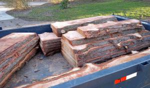 Woodchuckers Tree Service