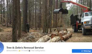 Tree & Debris Removal Service