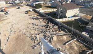 Andy's Stump & Tree Service