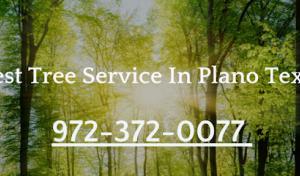 Tree Care Plano