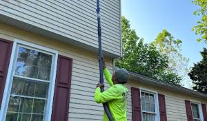 Kellermans Tree Services