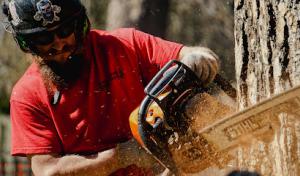 All Seasons Tree Service