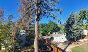 Garrett Tree Service