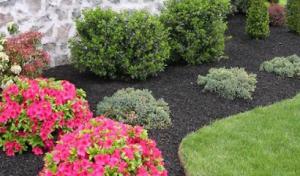 Holleywood Lawn & Landscape