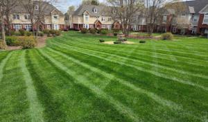 Wise Cut Landscaping