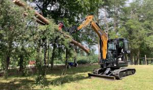 Storm Tree Services