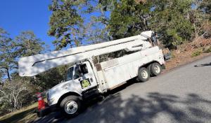 Lawg dawg llc land clearing & tree service