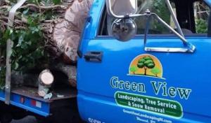 Green View Tree Service