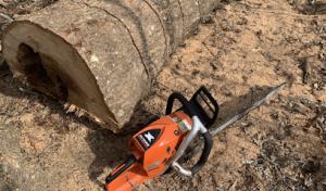 JM Tree Service Douglasville