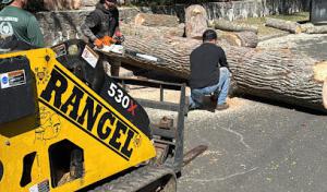 Rangel Landscaping & Contracting