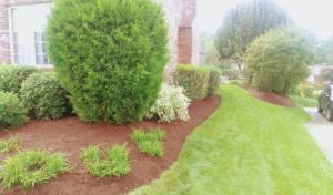 Titan Landscape & Tree Services