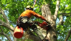 S & S Property Maintenance