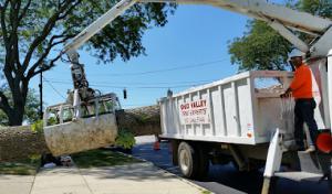 Ohio Valley Tree Experts